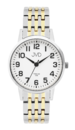 Wrist watch titan JVD JE5001.2