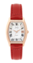 Wrist watch JVD JG1027.4
