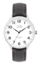 Wrist watch JVD J1130.2
