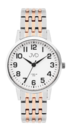 Wrist watch titan JVD JE5001.5