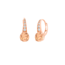 Earrings SVLE0974XH2RC00