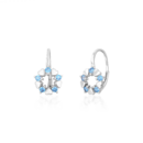 Earrings SVLE1512XH2M4XS