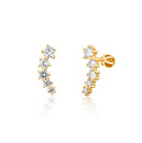 Earrings SVLE1619XH2GOSR