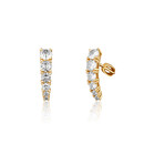 Earrings SVLE1618XH2GOSR