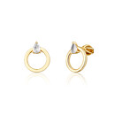 Earrings SVLE1611XH2GOSR