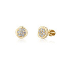 Earrings SVLE1597XH2GOSR