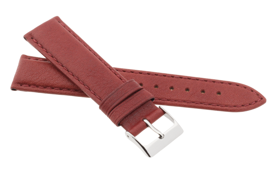 Strap R42207