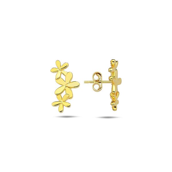 Earrings ZE0528XJ71