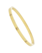 Náramek JGB17G