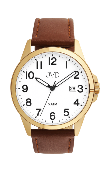 Wrist watch JVD J1131.8