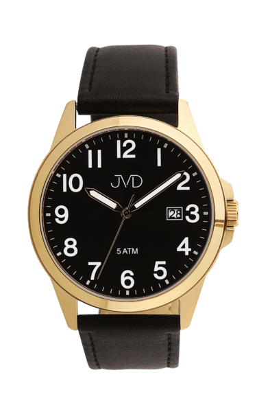 Wrist watch JVD J1131.7