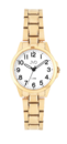 Náramkové hodinky JVD J4197.3