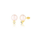 Earrings SVLE3111XH2GP00