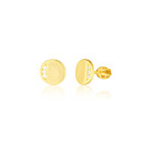 Earrings SVLE3121XH2GOSR