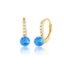 Náušnice SVLE3467XH2G20