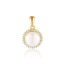 Přívěs SVLP2122XH2GP00