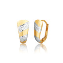 Öhrringen ZE0976XJ81-8700