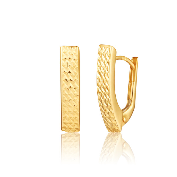 Öhrringen ZE0971XJ8