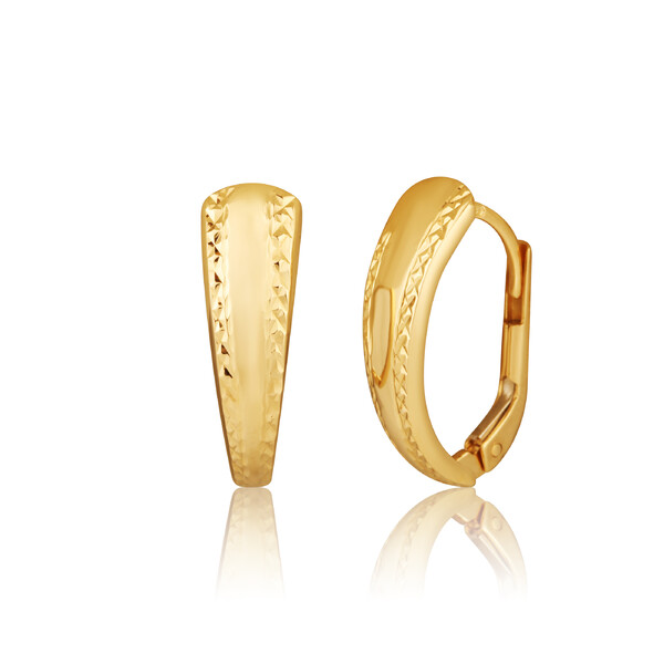 Öhrringen ZE0970XJ8