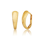 Öhrringen ZE0970XJ8