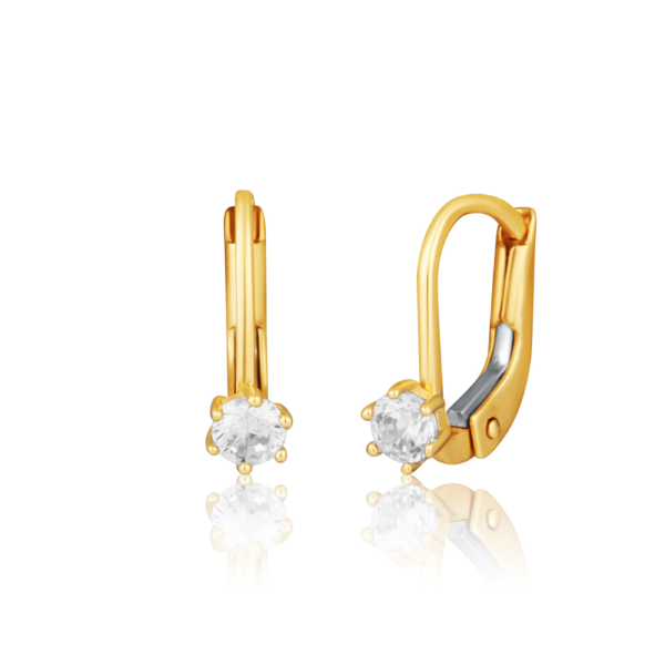 Earrings ZE0931XJ81-1800