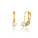 Earrings ZE0931XJ81-1800