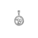 Pendant SVLP0713XH200BY