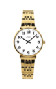 Wrist watch JVD J4161.2 NUMBERS