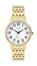 Wrist watch titan JVD JE5001.3